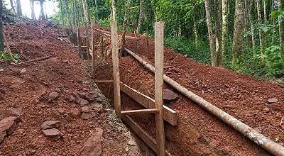 Excavación en zona boscosa